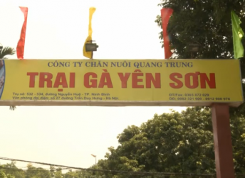 Khu liên kết chăn nuôi gà giữa Thực Phẩm Sao Việt-Trại gà Yên Sơn