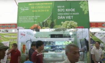 Thực phẩm sạch Sao Việt